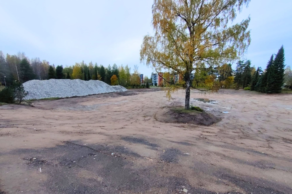 purkutyömaa siistittynä, koivu ja taustalla kasat betonijätettä